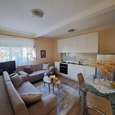 Quiet, Cozy, Luminous * ティラナ