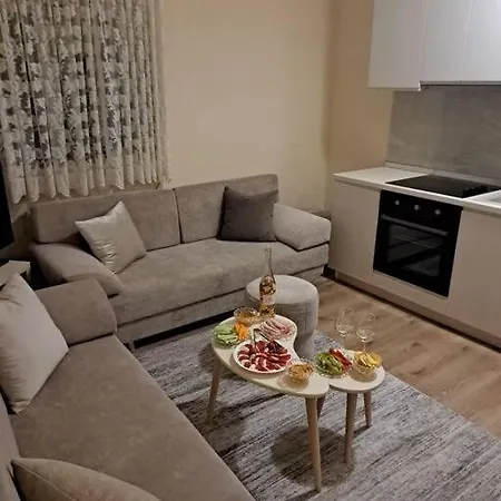 Quiet, Cozy, Luminous Тирана
